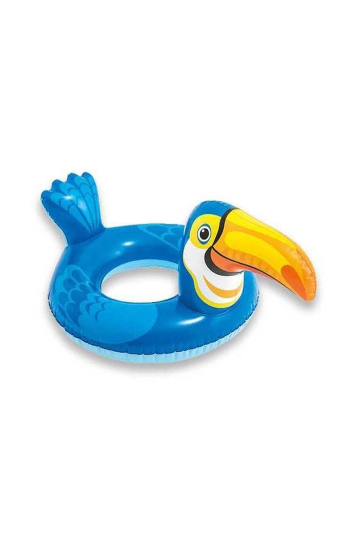  Dodo