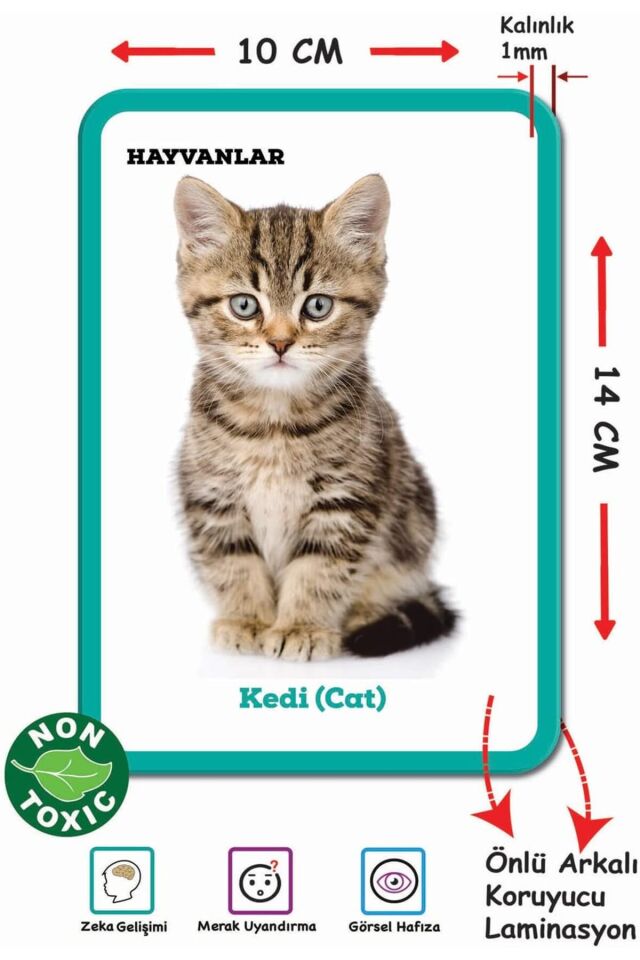 dıytoy ilk 100 hayvan eğitici öğretici kartlar serisi 12+ ay, 20x15 cm, zeka gelişimi kartları