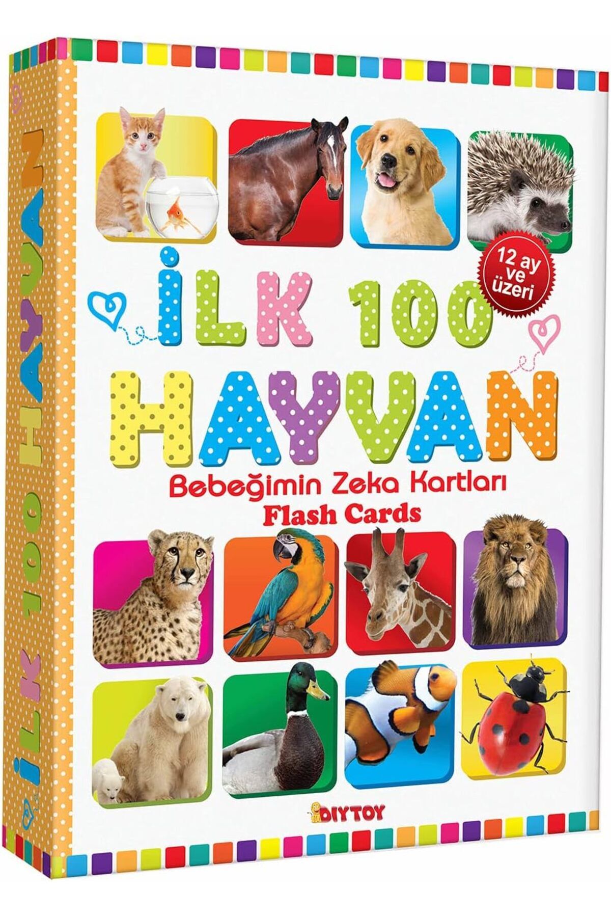 dıytoy ilk 100 hayvan eğitici öğretici kartlar serisi 12+ ay, 20x15 cm, zeka gelişimi kartları