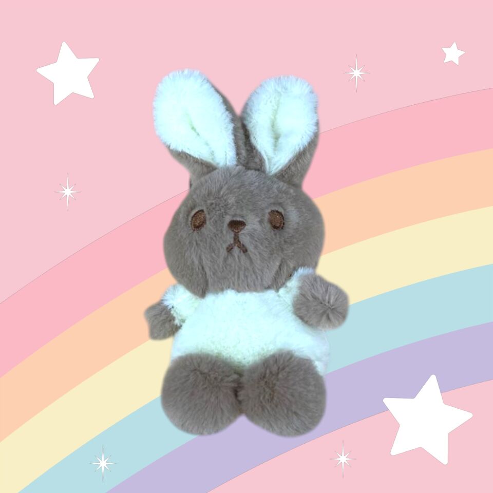 Peluş anahtarlık tavşan köpek ayı dino pony 10-13 cm