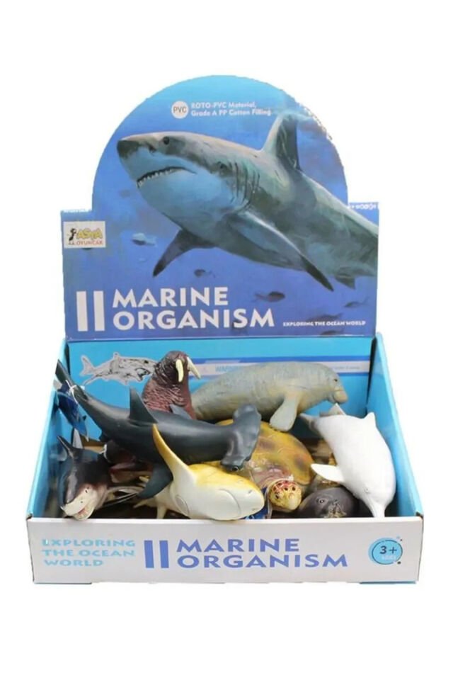 UZUN DİŞLİ DENİZ ASLANI PVC 20 CM ESNEK YUMUŞAK BÜKÜLEBİLİR DENİZ HAYVANLARI FOK 20 CM E022