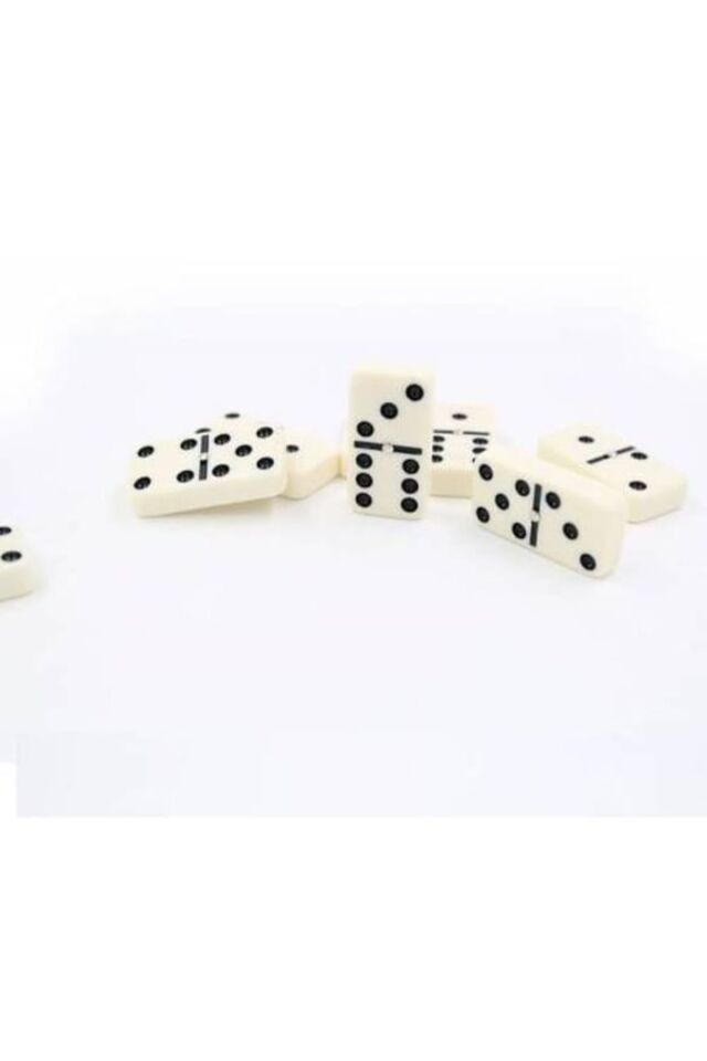 DOMİNO TAŞLARI ÇANTALI 28 TAŞ AİLE OYUN SETİ ORTA BOY 4 CM